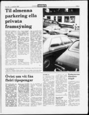 Síða 5