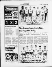 Síða 8