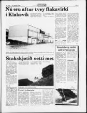 Síða 5