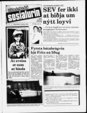 Síða 1
