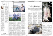 Síða 12