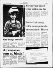 Síða 11