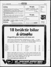 Síða 15