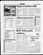 Síða 8