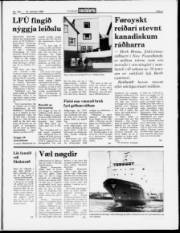 Síða 5