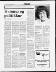 Síða 13