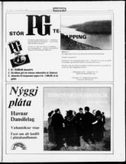 Síða 17