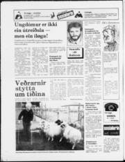 Síða 24