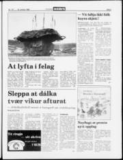 Síða 5