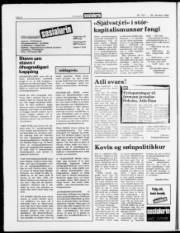 Síða 6