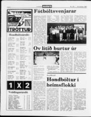 Síða 8