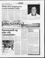 Síða 9