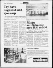 Síða 5