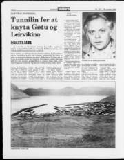 Síða 8
