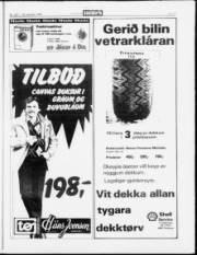 Síða 13