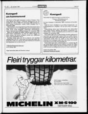 Síða 19