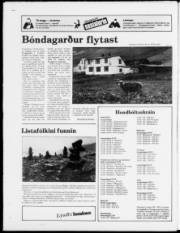 Síða 24