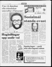 Síða 11