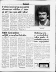 Síða 13
