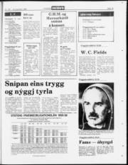 Síða 15
