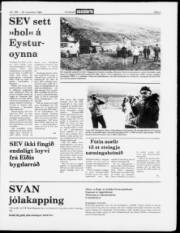 Síða 3