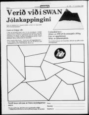 Síða 4