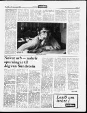 Síða 13