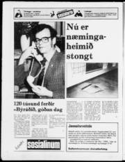 Síða 24