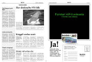 Síða 8