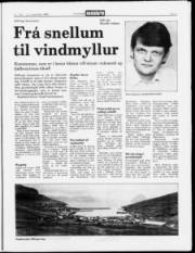 Síða 9