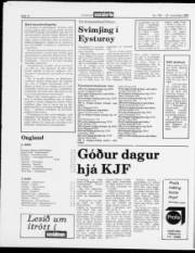 Síða 12