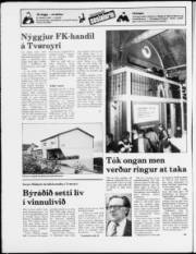 Síða 20