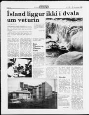 Síða 12