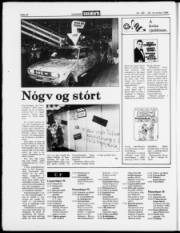 Síða 22