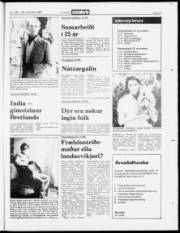 Síða 23
