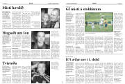 Síða 14
