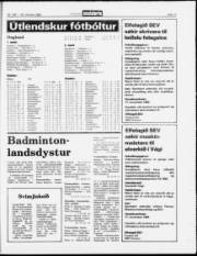 Síða 11