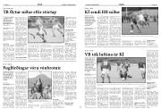 Síða 15