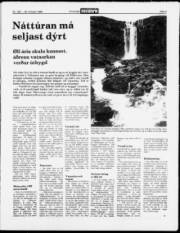 Síða 3