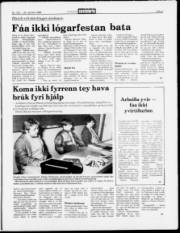 Síða 5
