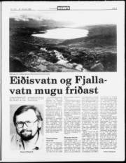 Síða 9