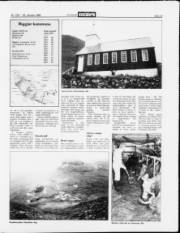 Síða 13
