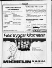 Síða 19