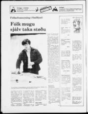 Síða 24