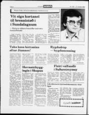 Síða 8