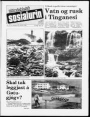 Síða 1