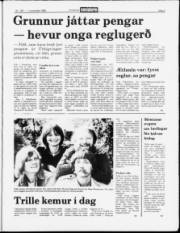 Síða 5