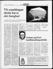 Síða 9