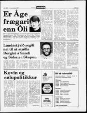 Síða 17