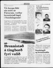 Síða 12